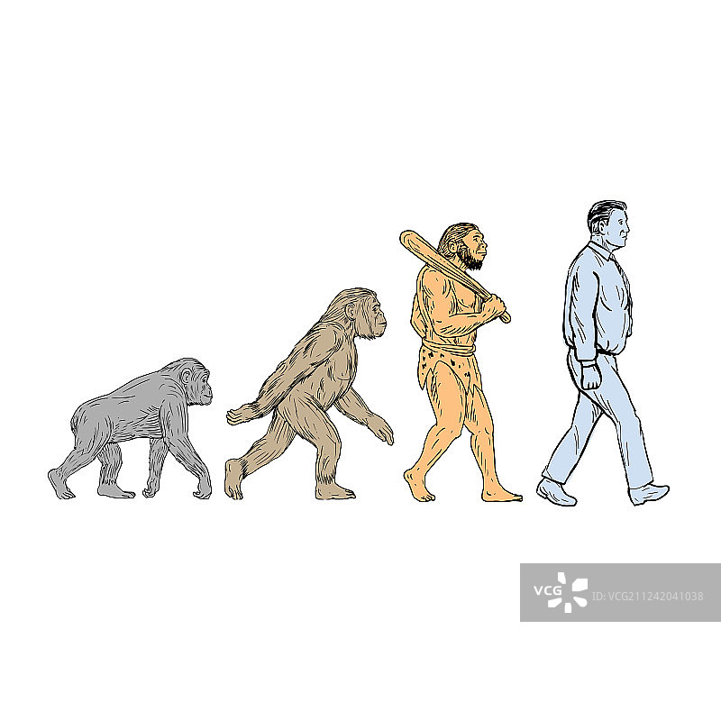 人类进化行走图图片素材