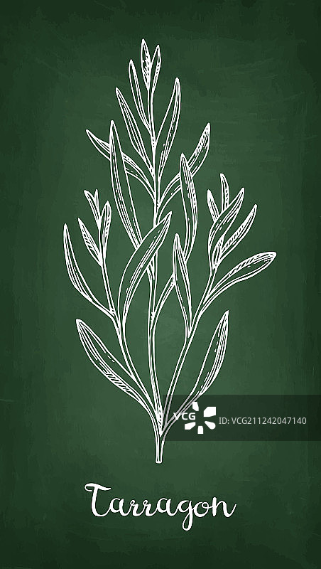 龙蒿粉笔画图片素材