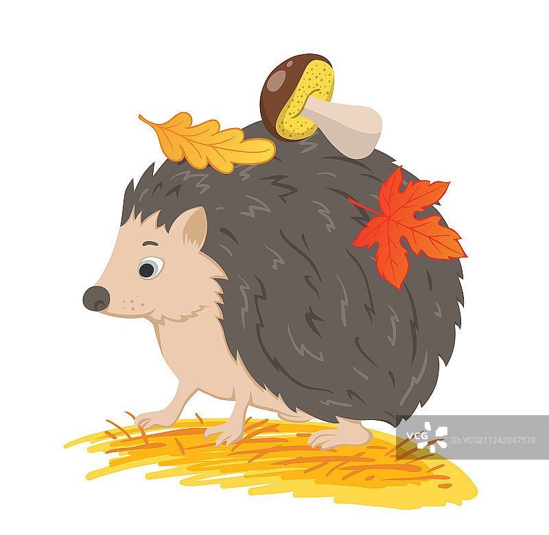 刺猬与秋叶图片素材