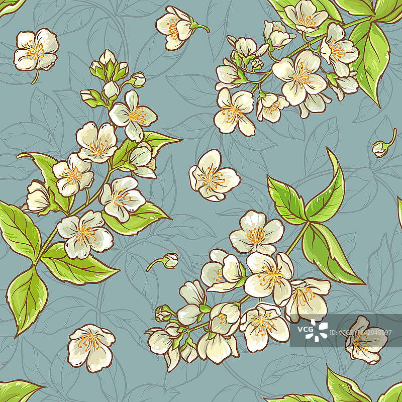 茉莉花无缝图案图片素材