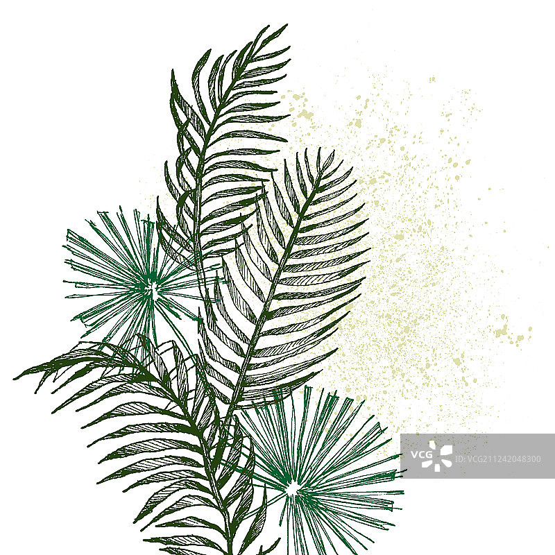 手绘热带植物枝叶图片素材