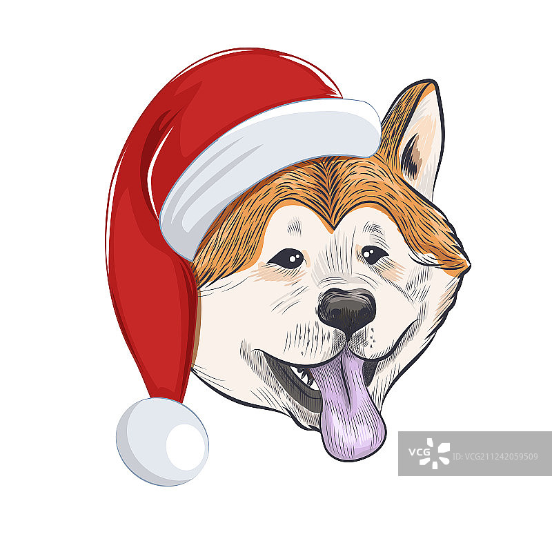 戴着圣诞帽的秋田犬图片素材