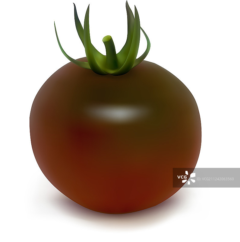 白色背景上的黑色番茄图片素材