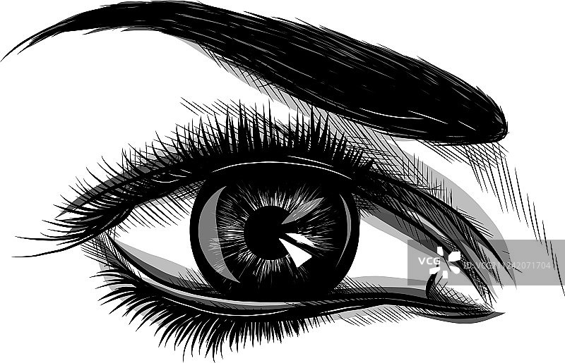 白色背景上的眼睛，女人眼，眼睛logo图片素材