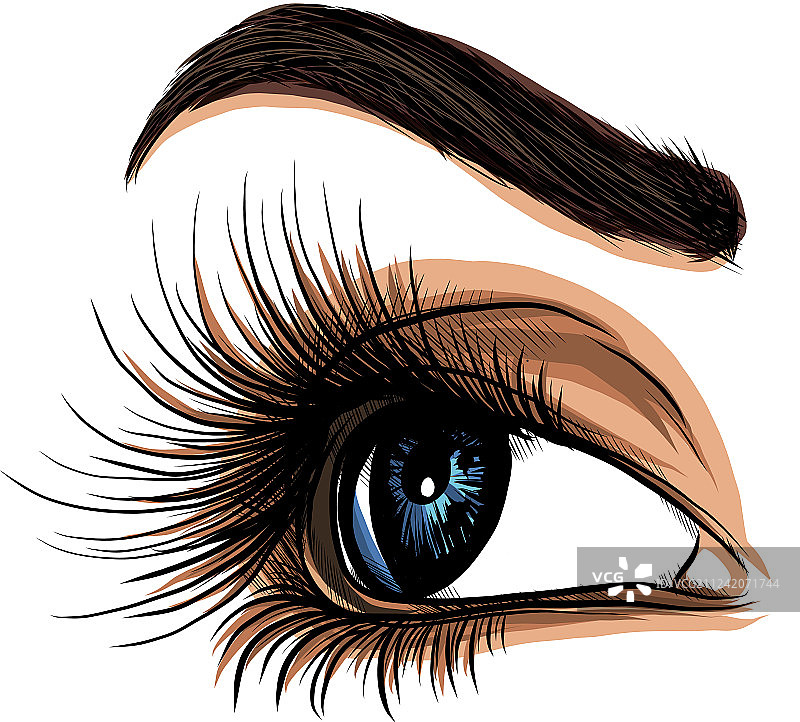 白色背景上的眼睛，女人眼，眼睛logo图片素材