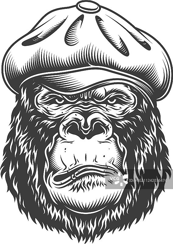 单色风格的严肃大猩猩图片素材