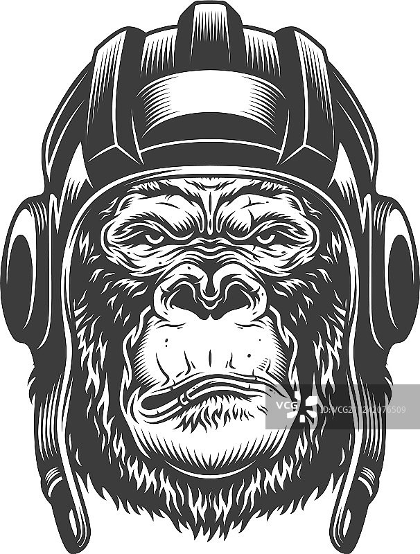 单色风格的严肃大猩猩图片素材