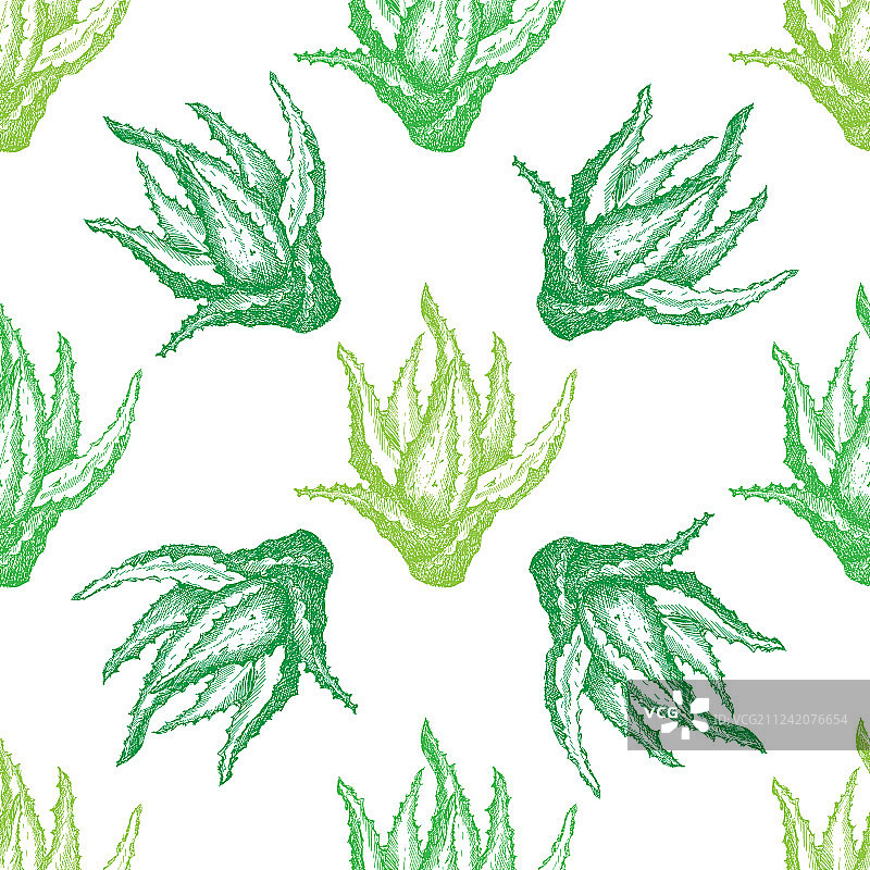 芦荟装饰图案图片素材