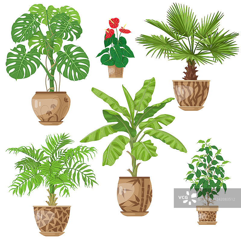 盆栽植物套装图片素材