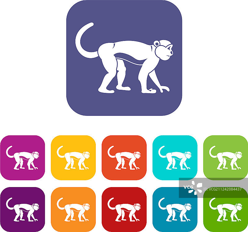 猕猴扁平图标集图片素材