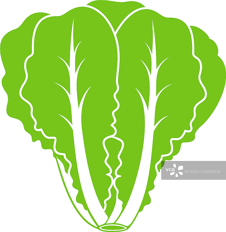 罗马生菜图片素材