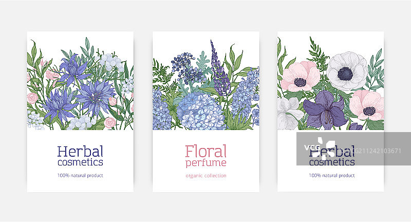 草药宣传卡片或宣传单模板合集图片素材