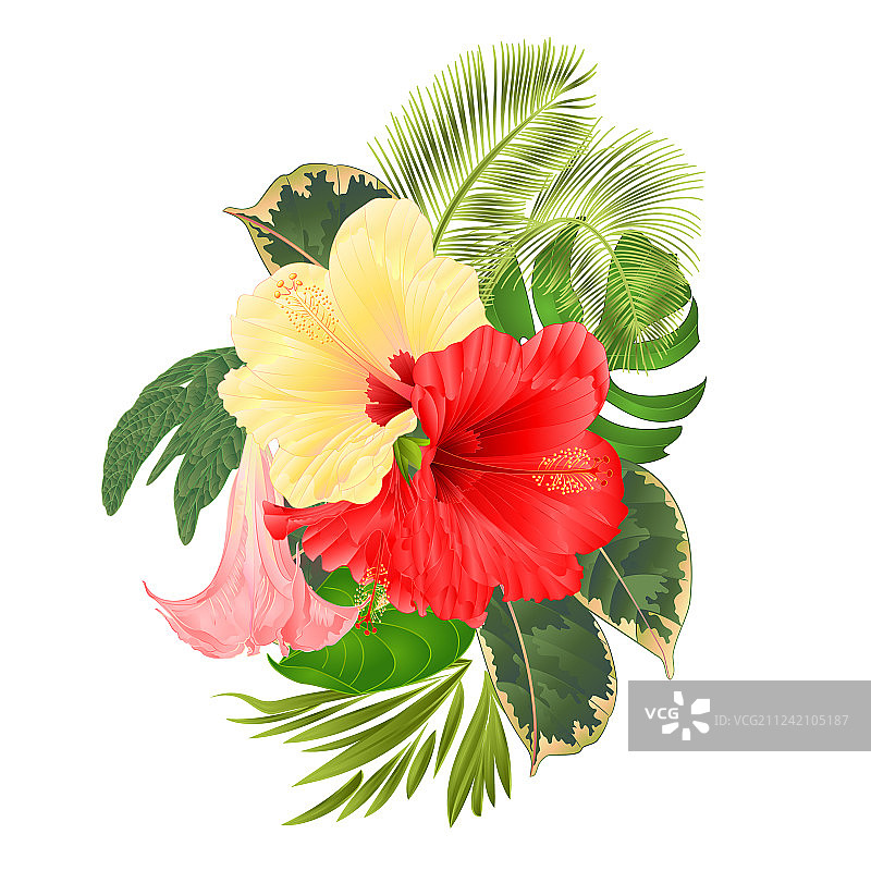 热带花卉插花图片素材