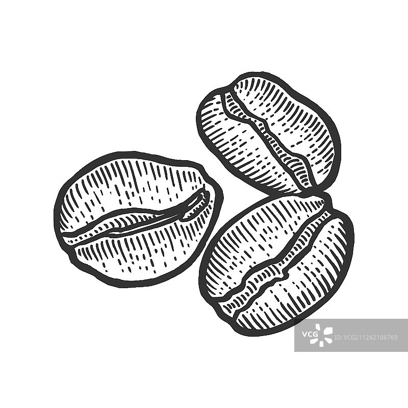 咖啡豆素描雕刻图片素材