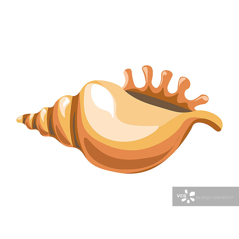 海螺贝壳海洋软体动物扁平素材图片素材