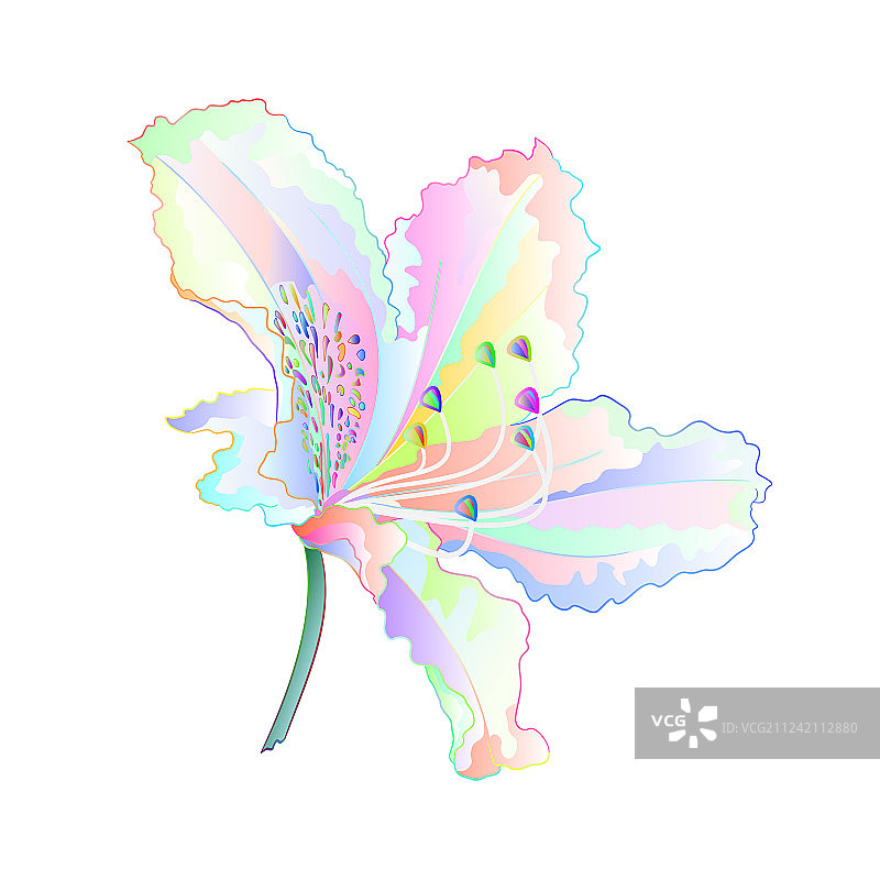 杂色杜鹃花图片素材