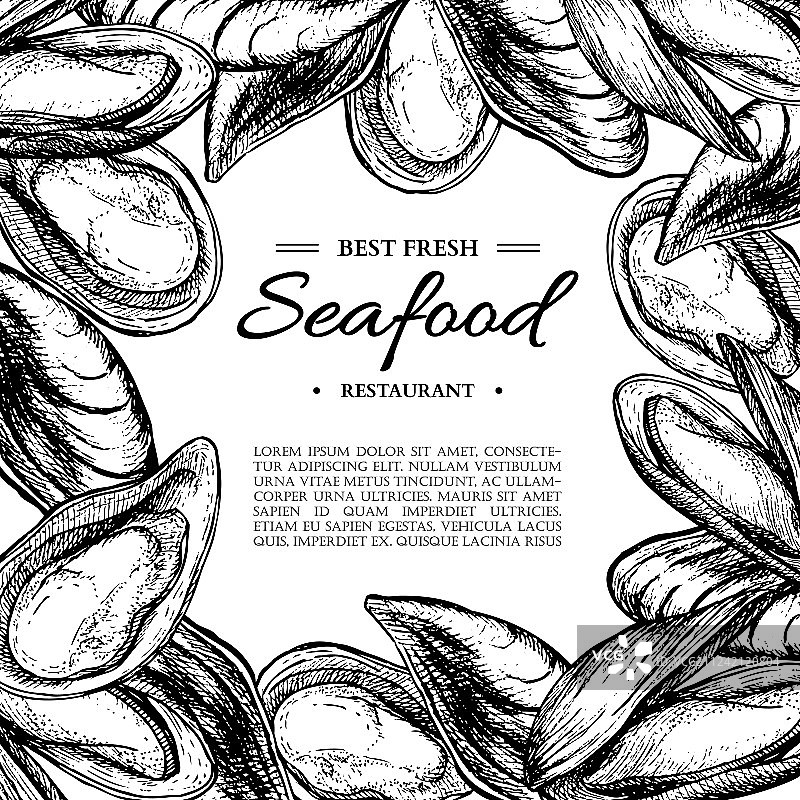 手绘贻贝和牡蛎边框图片素材