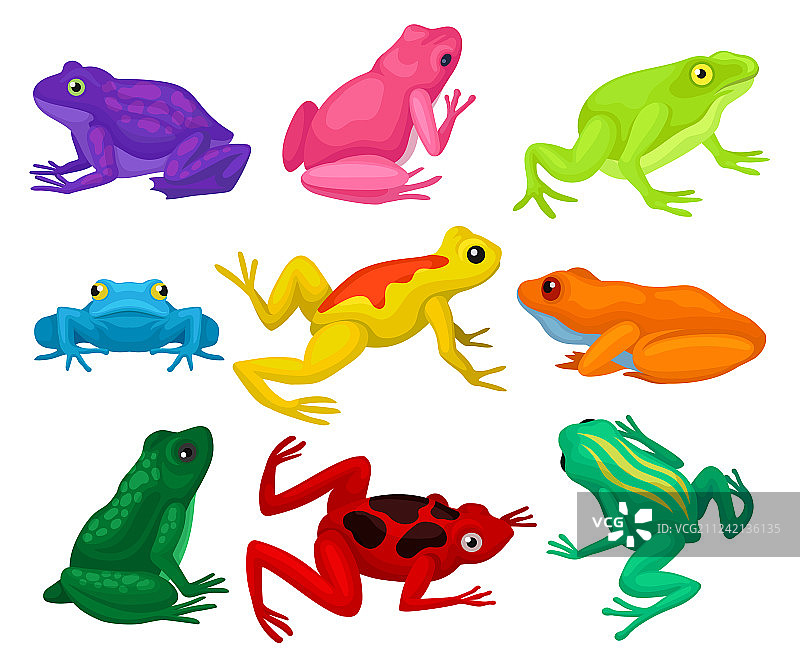 扁平卡通青蛙合集图片素材
