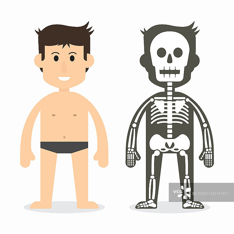 人体骨骼系统扁平设计图片素材
