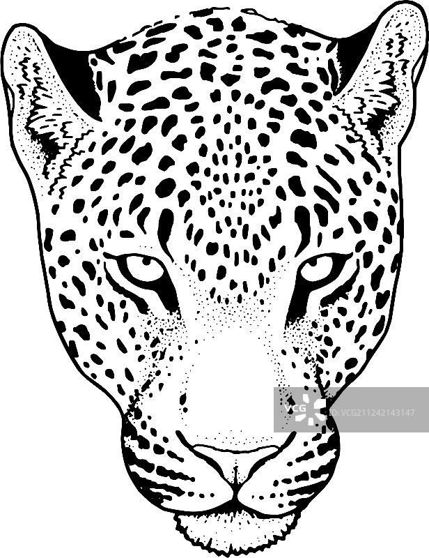 豹脸纹身印花图片素材