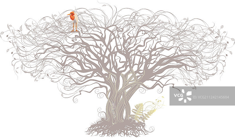 树和鸟，白色背景图片素材