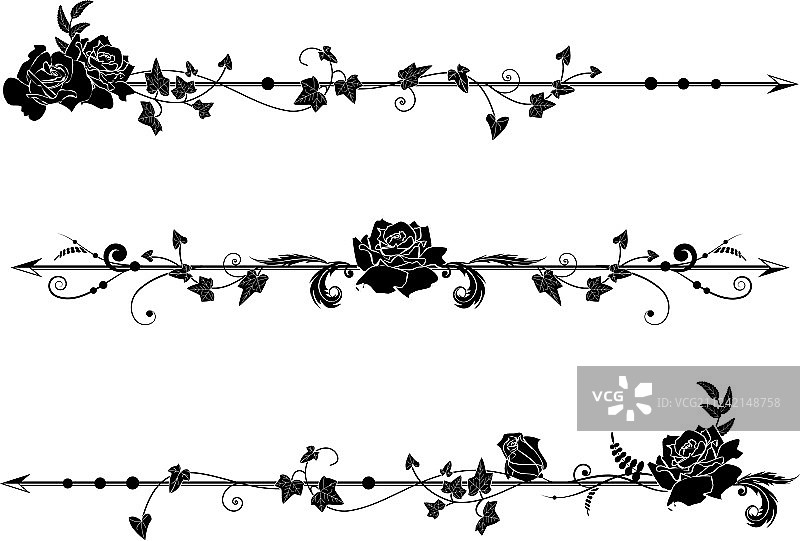 玫瑰和常春藤分割线图片素材