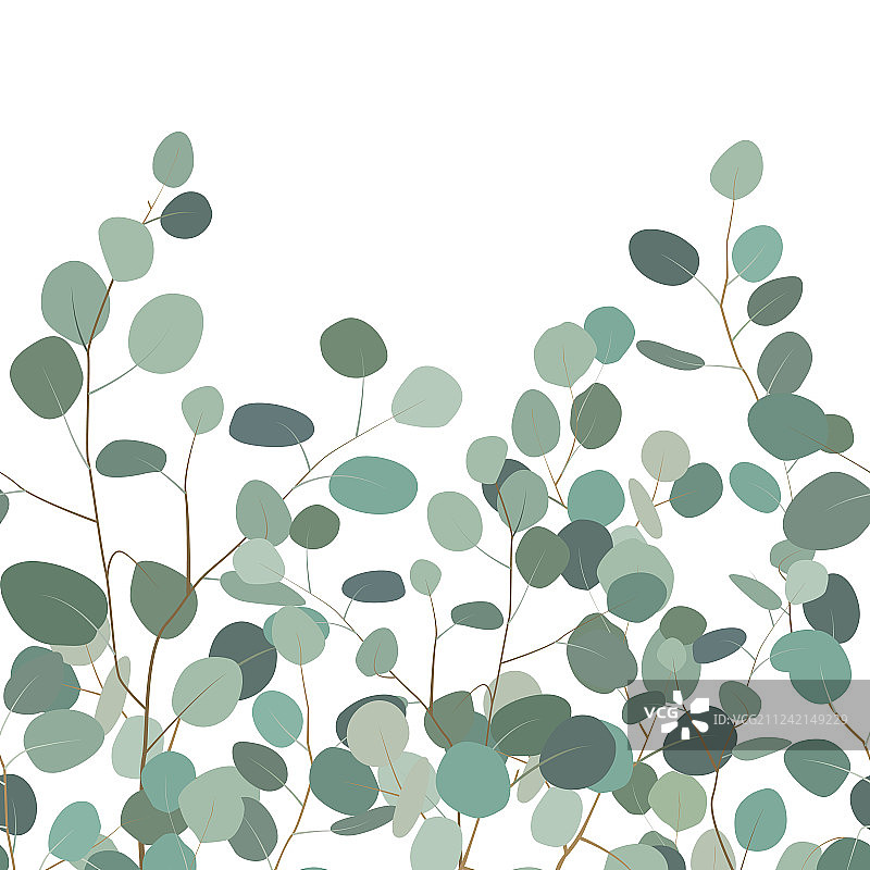 手绘桉树无缝图案图片素材