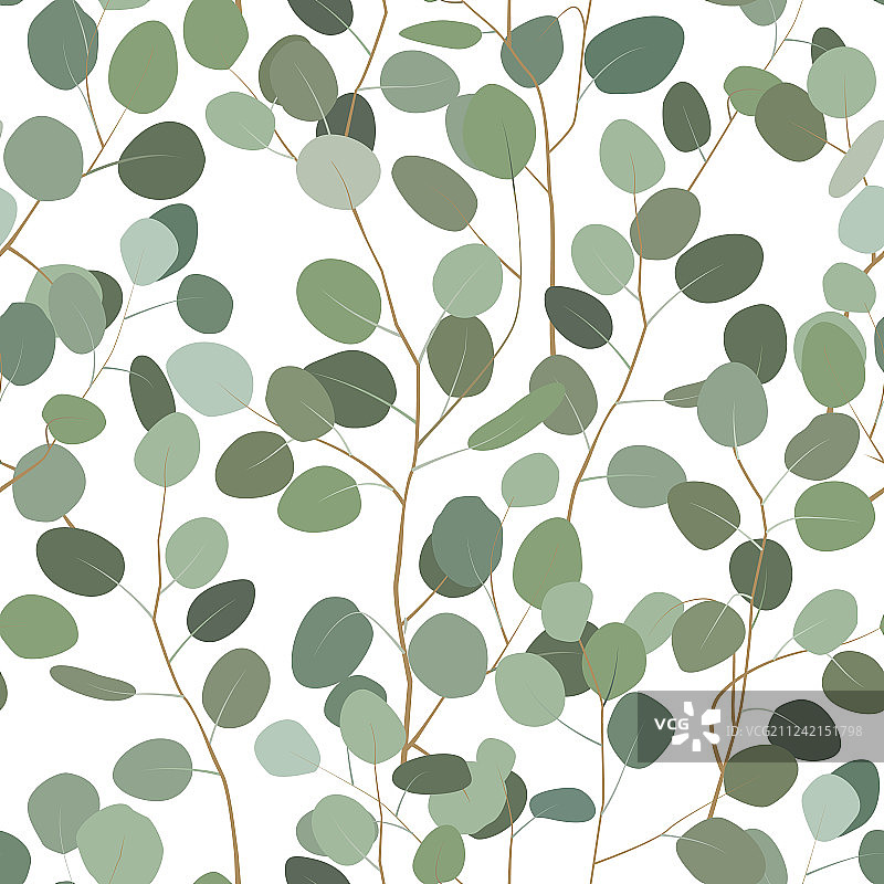 手绘桉树无缝图案图片素材