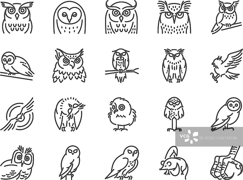 猫头鹰线性图标合集图片素材