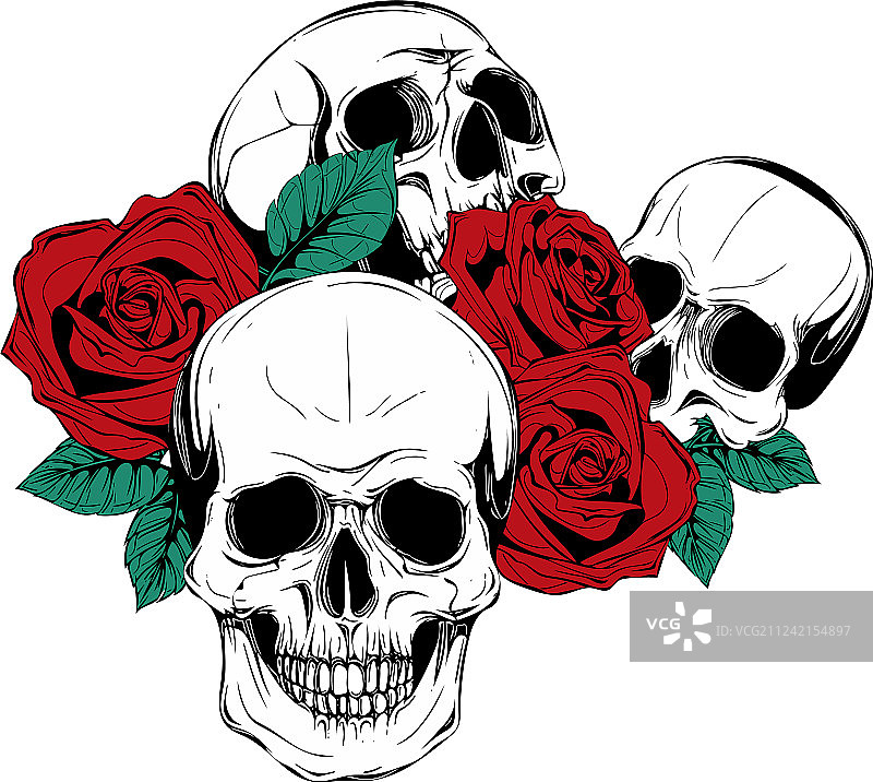 白色背景上带玫瑰花的人头骨图片素材