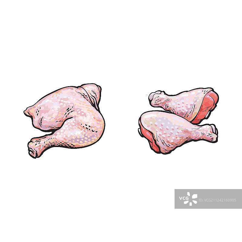鸡腿素描图片素材