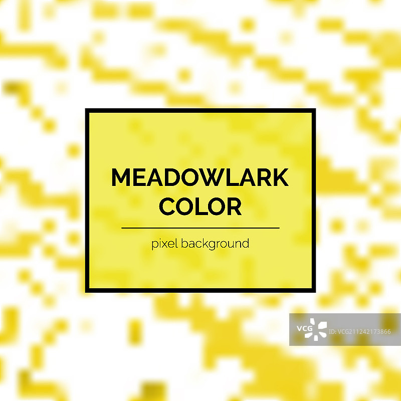 美丽的 meadowlark 正方形背景图片素材