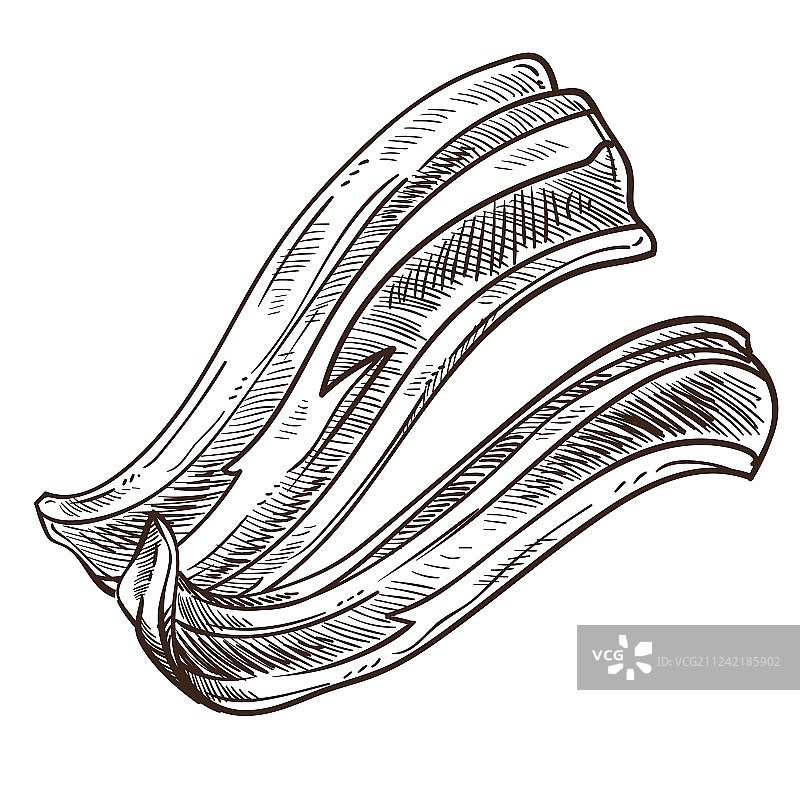 培根切片单色草图轮廓图片素材