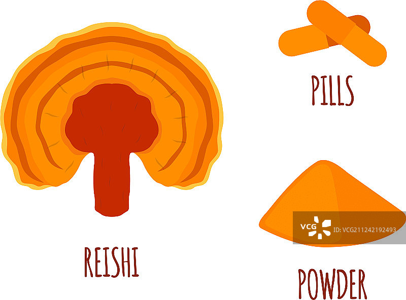扁平风格的灵芝图片素材