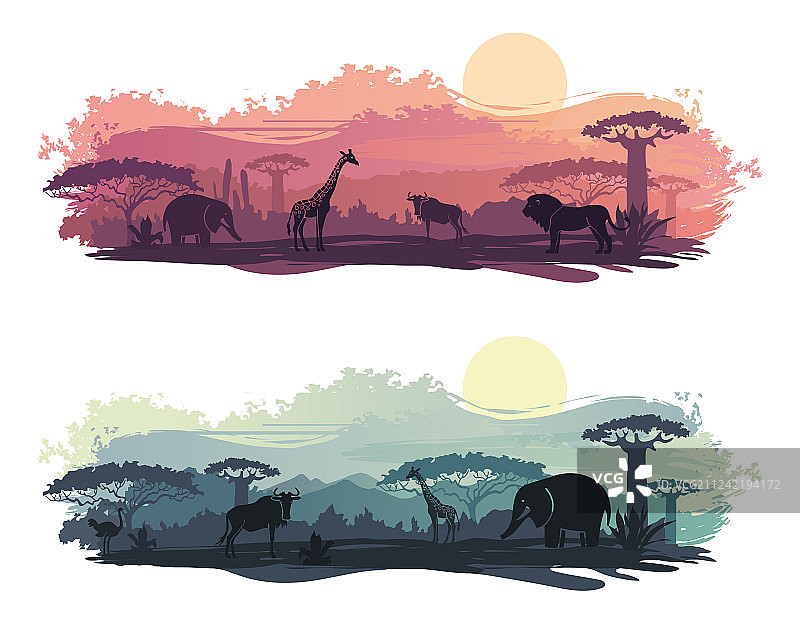 非洲野生动物景观图片素材