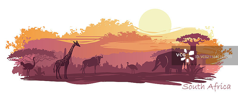 非洲野生动物景观图片素材