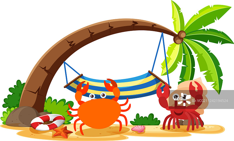 海滩上的螃蟹和寄居蟹图片素材
