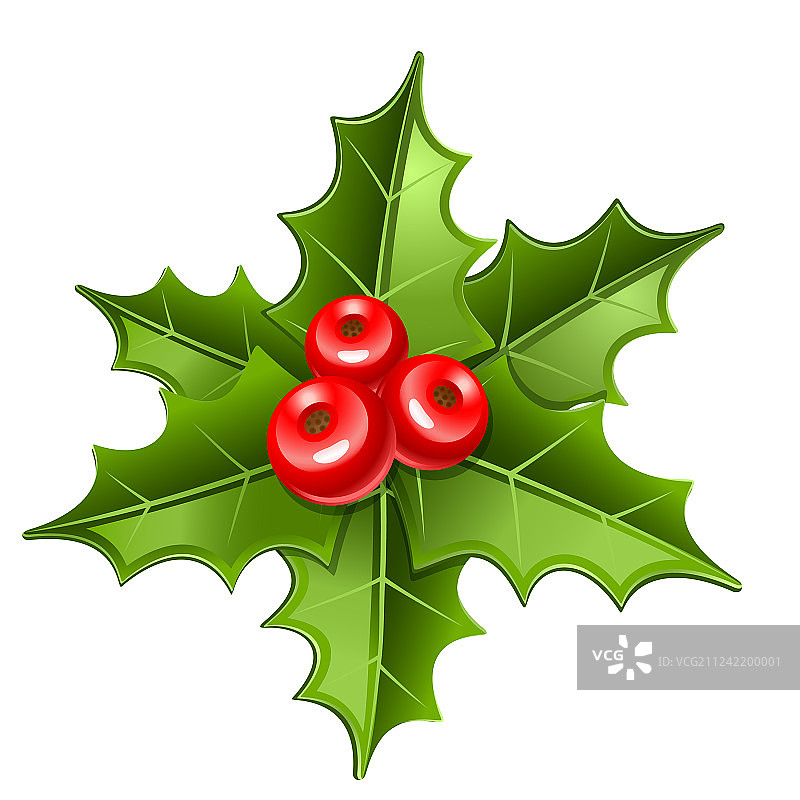 圣诞节槲寄生图标图片素材