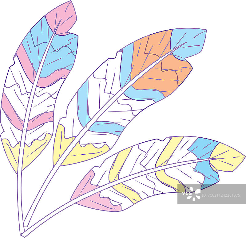 羽毛风格美容装饰设计图片素材