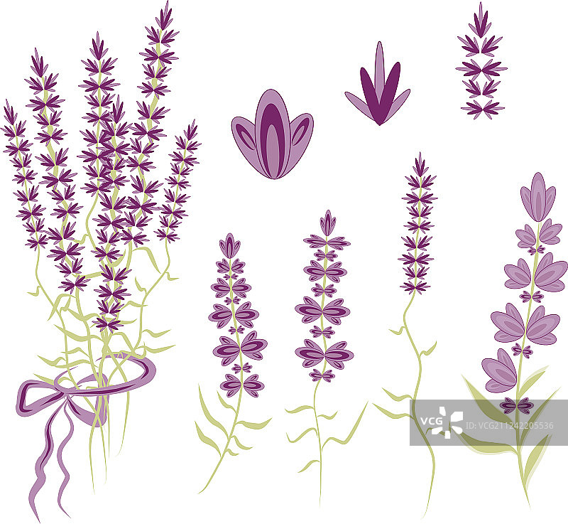 薰衣草设计风格元素套装图片素材