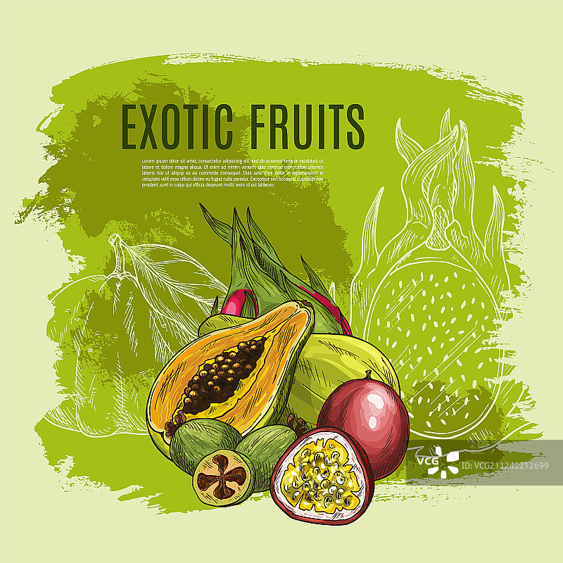 异国情调的水果素描海报，用于食品饮料设计图片素材