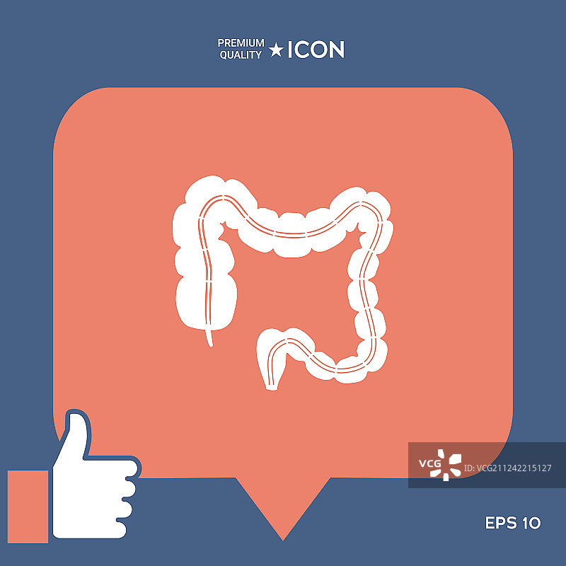 人体器官：大肠图片素材