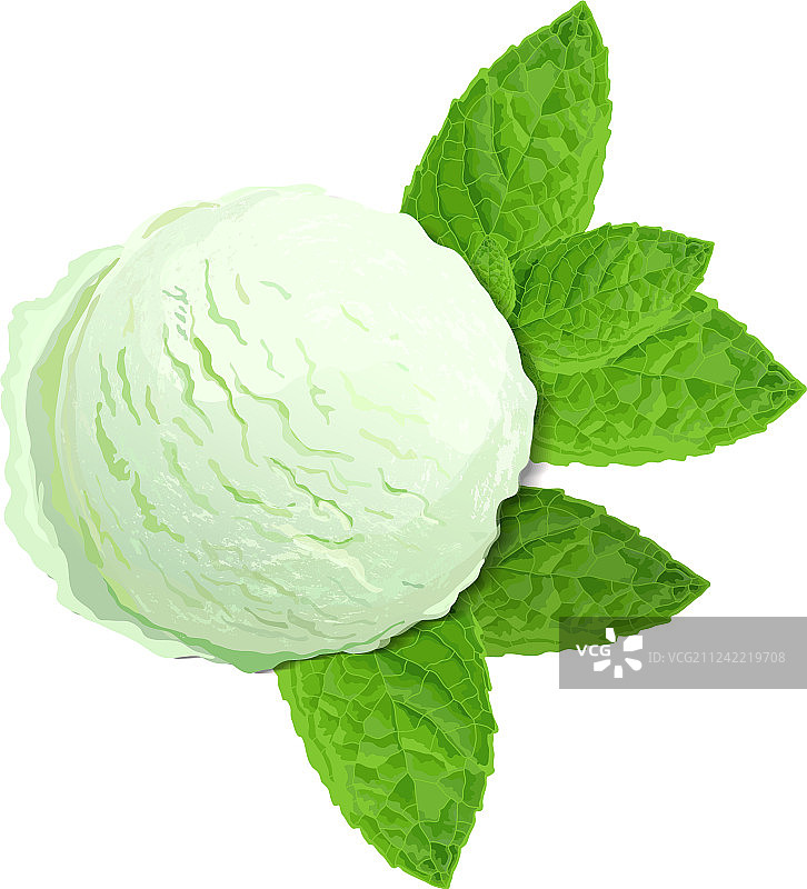薄荷绿冰淇淋与薄荷叶图片素材