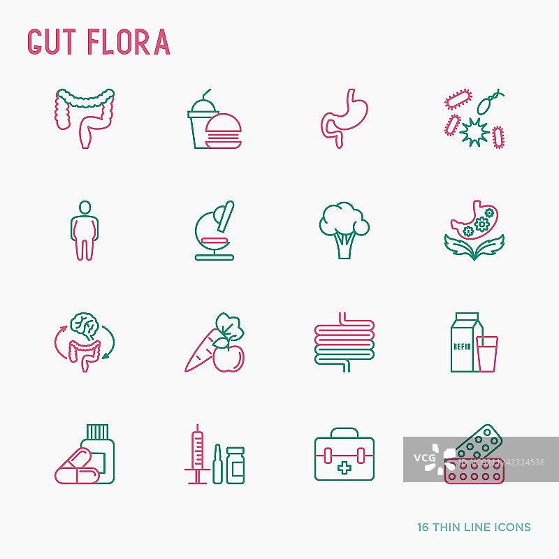 肠道菌群细线图标集图片素材