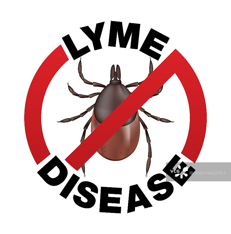 莱姆病蜱虫叮咬图标图片素材