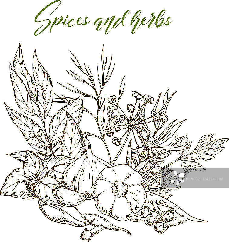 烹饪香草和香料图片素材