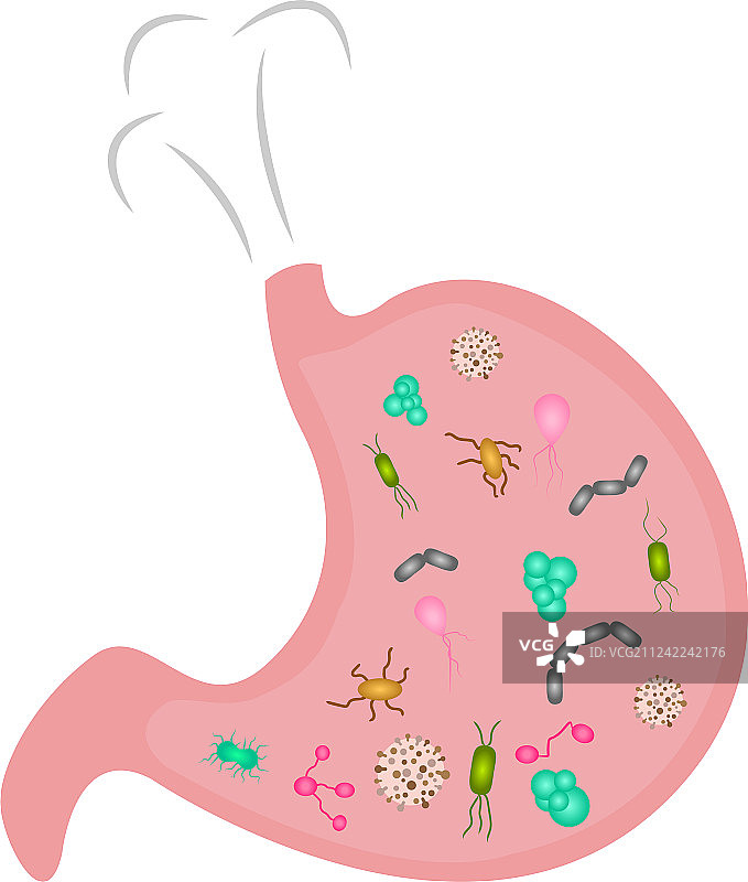 卡通风格的胃部微生物图片素材