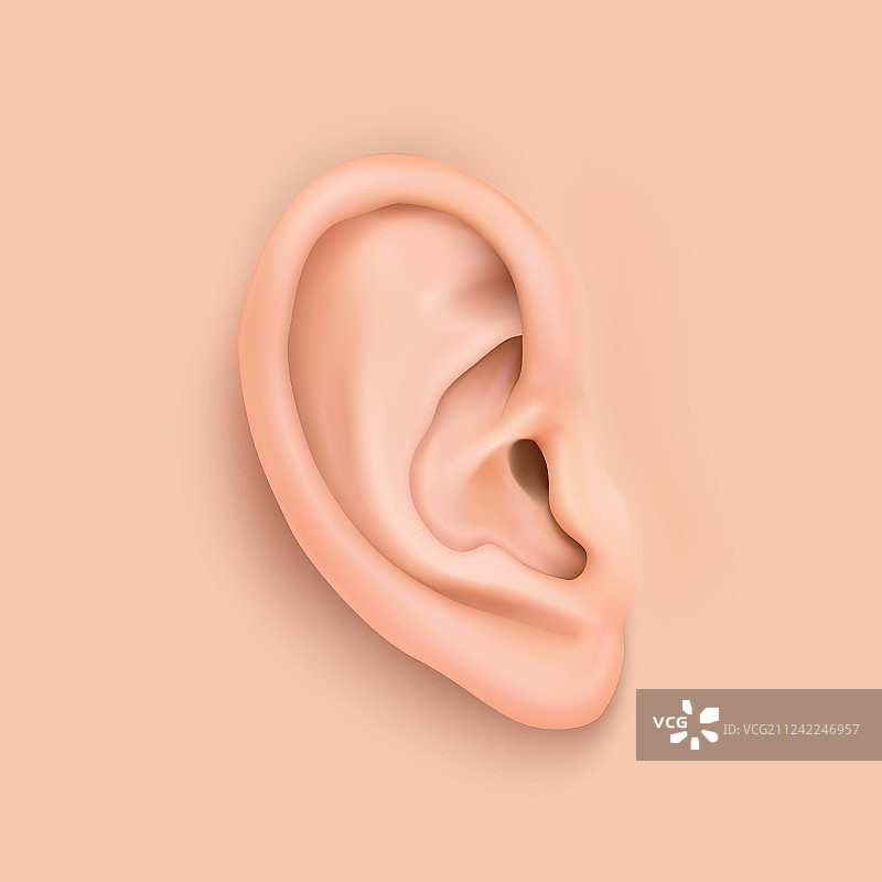 逼真的人耳特写背景图片素材