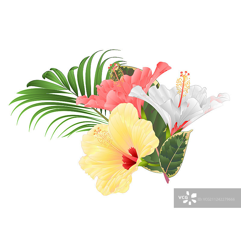 热带花卉插花图片素材