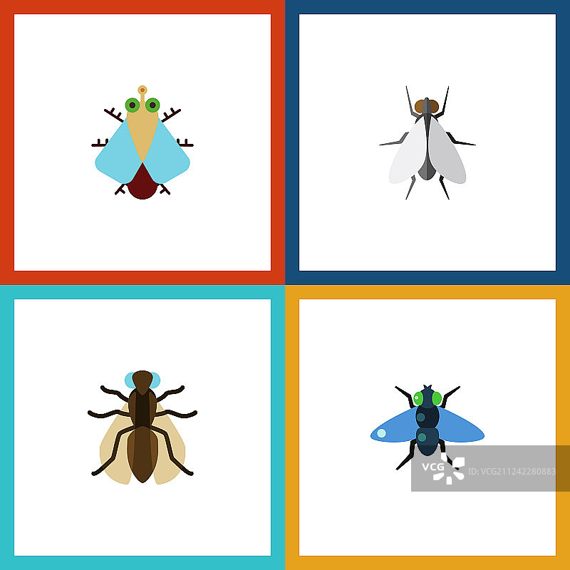 扁平风格家蝇、蚊子、粪便图案图片素材